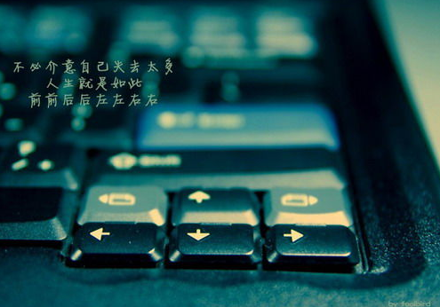 �������ϵ���־˵˵