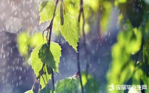 ���˵�����������˵˵