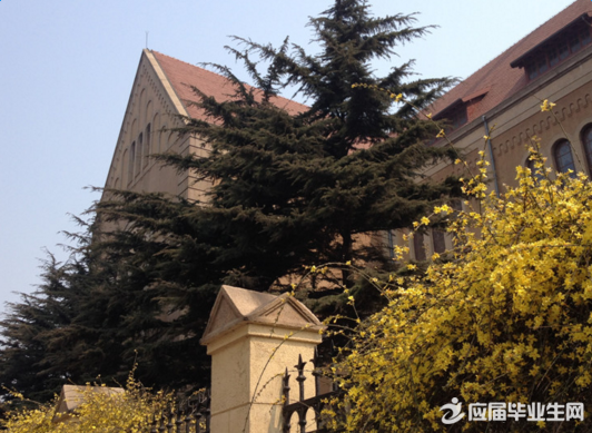 ������ͬ���