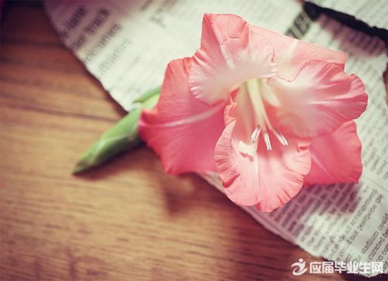 ����ʧ������¼˵˵��ȫ