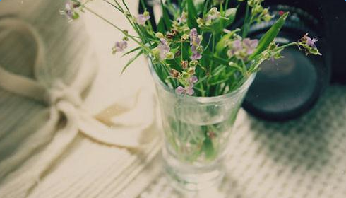 ���ڰ����Ψ��˵˵