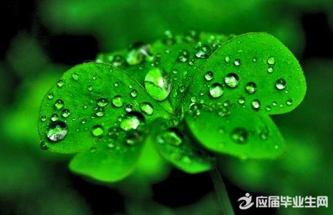 ���������������˵˵