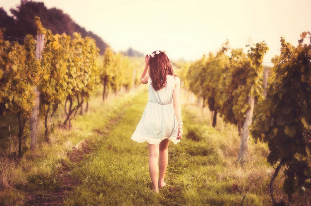 ��������������ɢ��