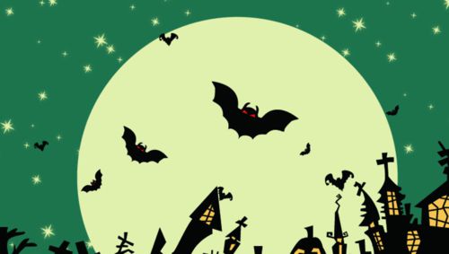 ��ʥ��Ӣ��С����