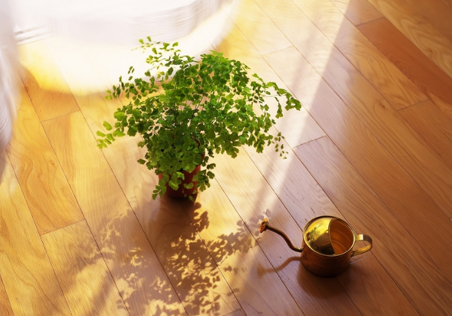 ����ֹ���Ľ����