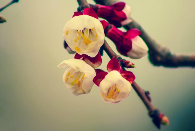 ����ֹ���Ľ����