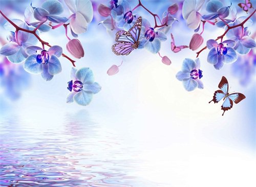 ����Ȧ�����������˵˵