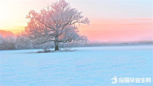 ����Ȧ�����������˵˵