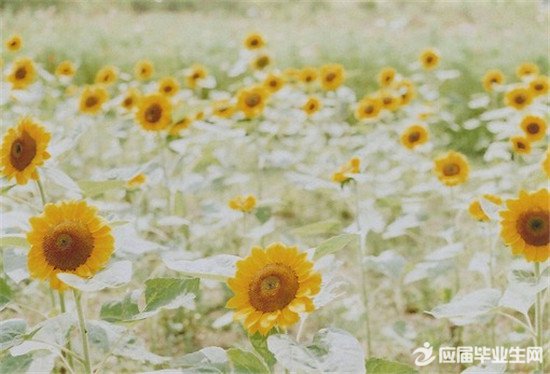 Ů��������־��˵˵��ȫ