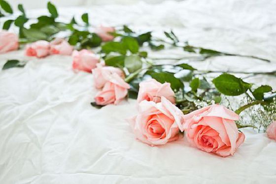 һ�����������˵˵