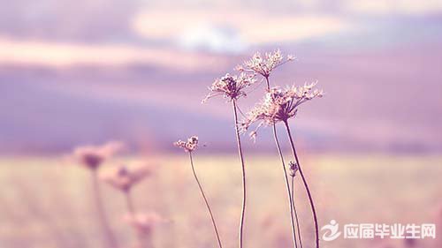 简短有深意的个性签名 简短有深意的个性签名