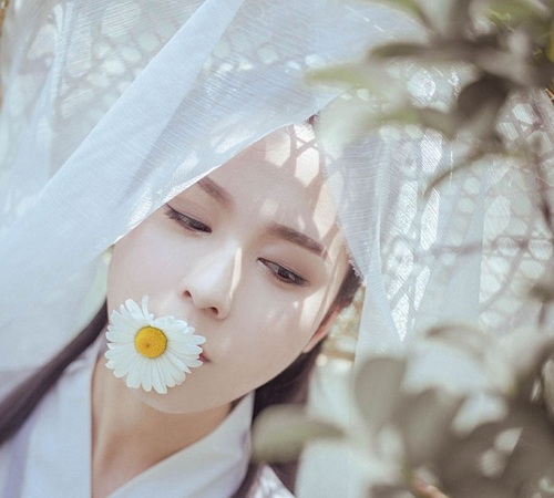 �й��ŵ�ʫ�����ݷּ���