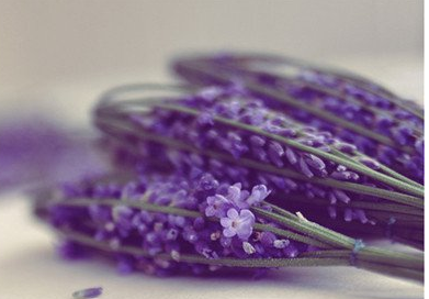 具有人生哲理的小故事 具有人生哲理的小故事