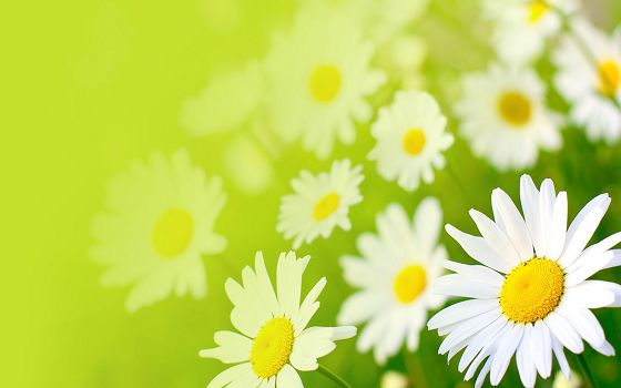 ΢�Ÿ���ǩ����������