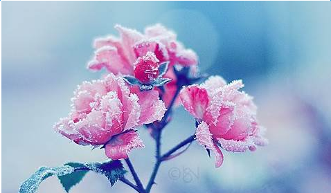 սʤ���۵�ʫ��