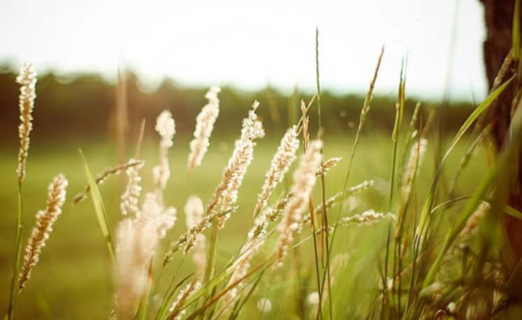 ��ʸ���ǩ����ȫ103��