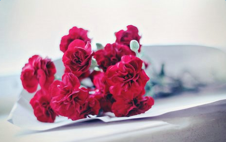 致青春的励志诗歌 关于致青春的励志诗歌