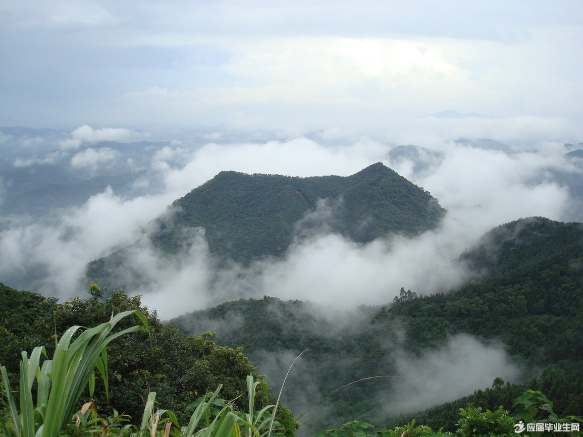 形容山多的成语