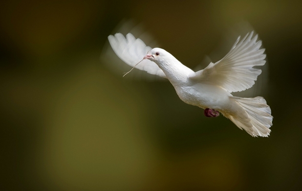 亲情散文:远行前,一定要去的地