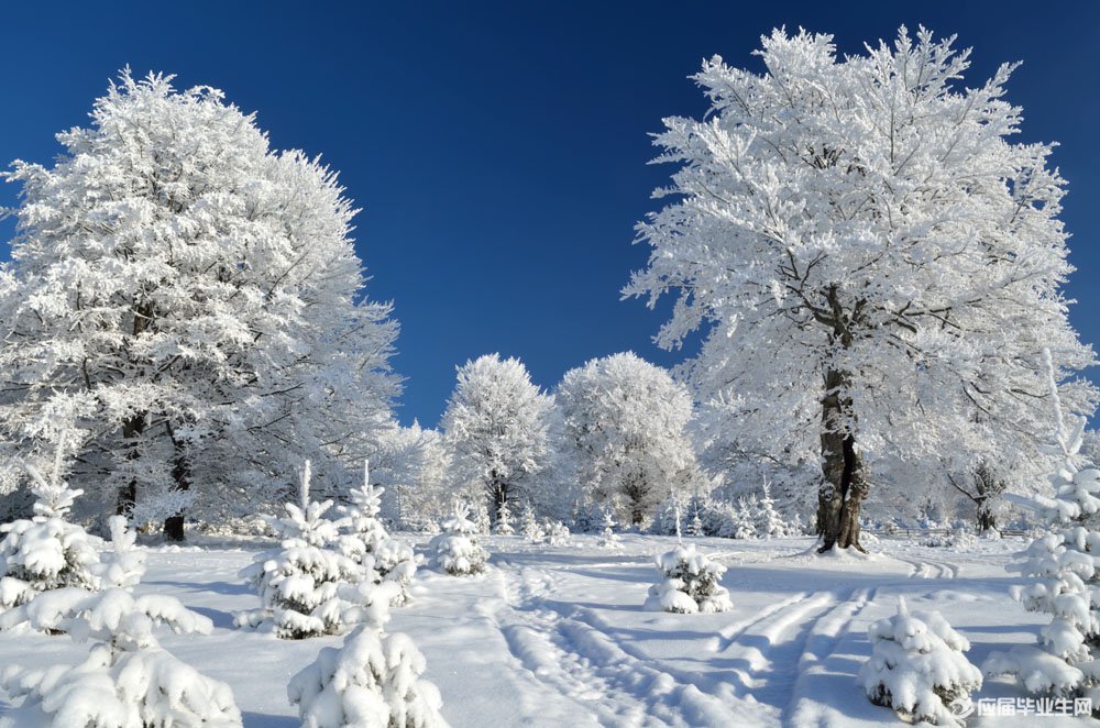 ���ݶ���ǳ���ĳ���