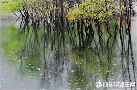 ��Ʈ���Ķ���ʼ�