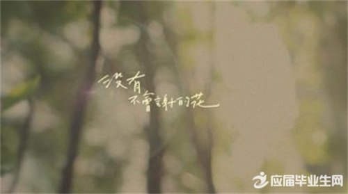 �˸�qq˵˵��ȫ