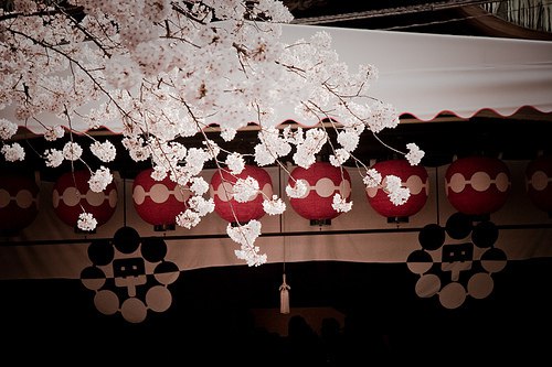 5����������С����