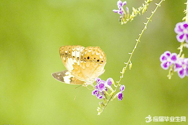 ��������������˵˵70��