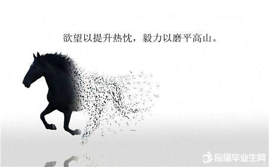 �����Ŷ�������˵˵