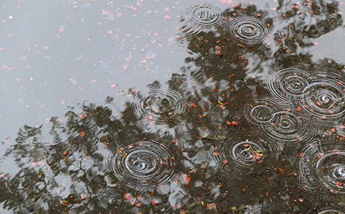 ���������鷳���˵˵