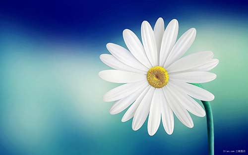 ����˵˵��������ȫ