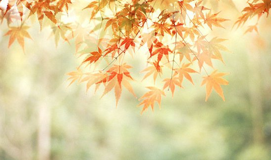 ����ǩ��һ��Ψ���崿