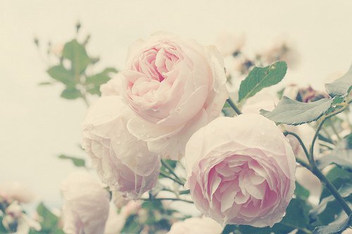 ����ɢ�ģ���ҹ����ͯ��