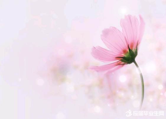 2017����ڳ��ŵ�С����