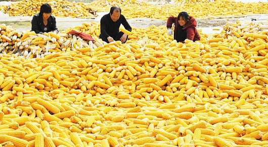 ���յķ������ʲô��