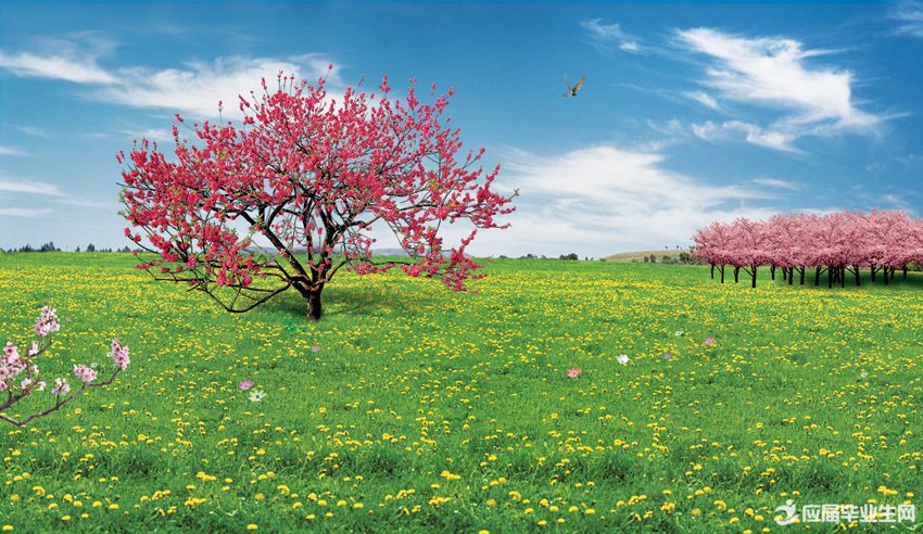 含有反义词的成语大全 含有反义词的成语大全