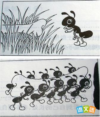 在搬运食物的聪明蚂蚁