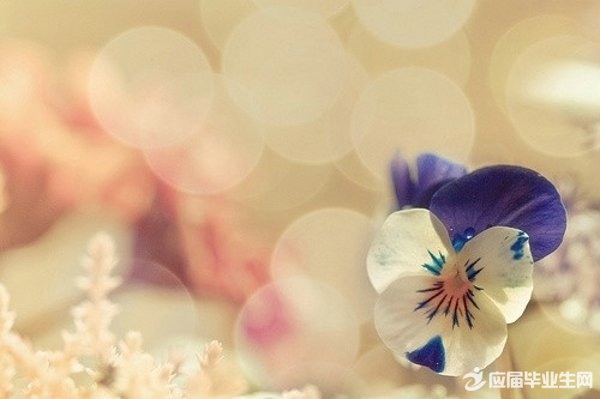 ΢�����ĸ���ǩ����һ���ʺ����ڵ���