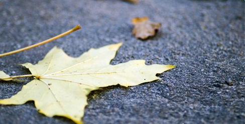 �˸е�qq����ǩ��