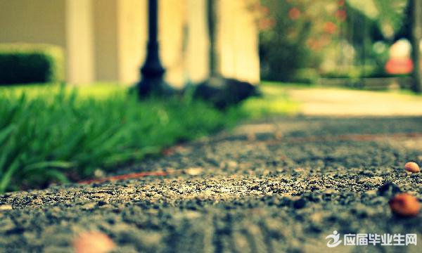 ʫ������900��