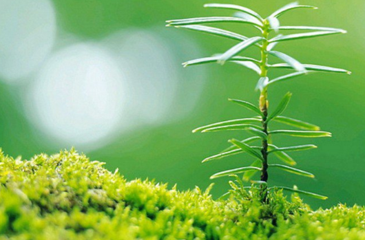 ��־��ƪ����С����