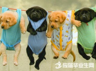 ����������������˵˵