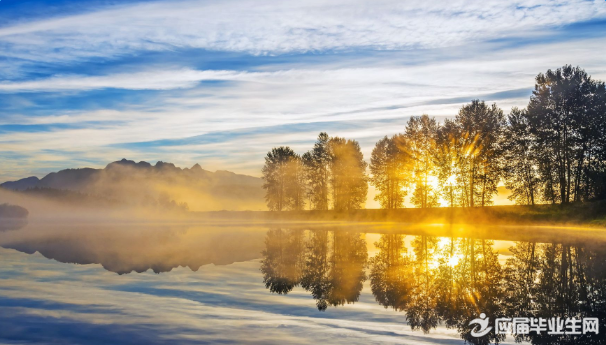 �й�д��״���ɢ��