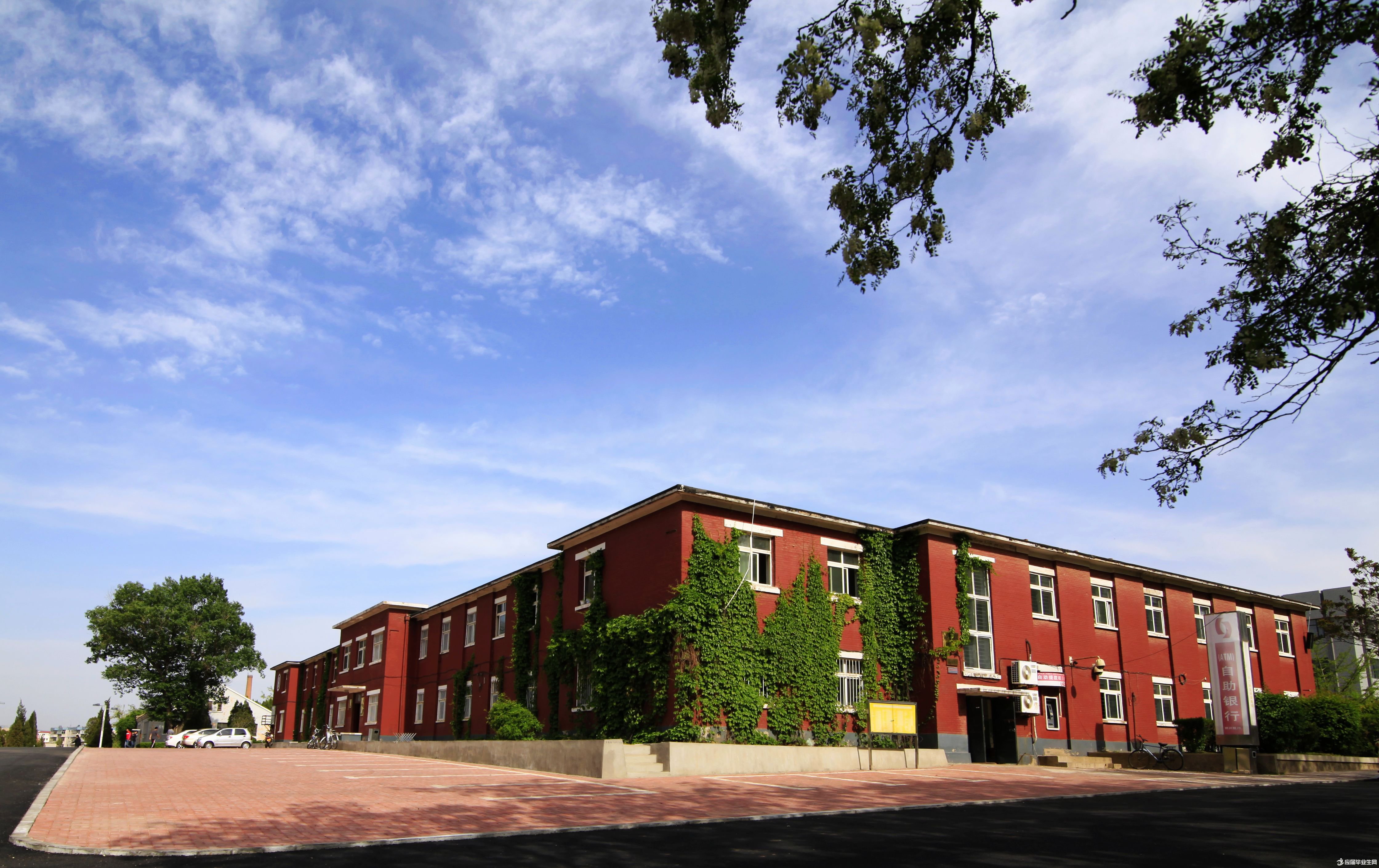 У԰�ռ�300��