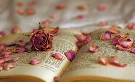 有关爱读书的成语的故事