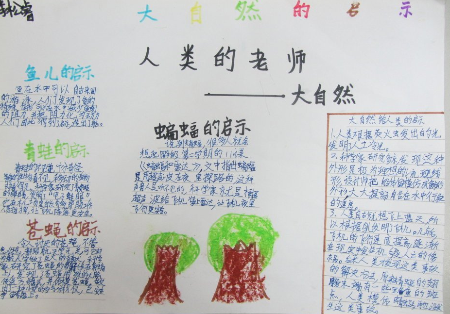 大自然的启示手抄报 大自然的启示手抄报