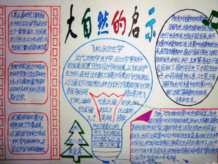 大自然的启示手抄报 大自然的启示手抄报