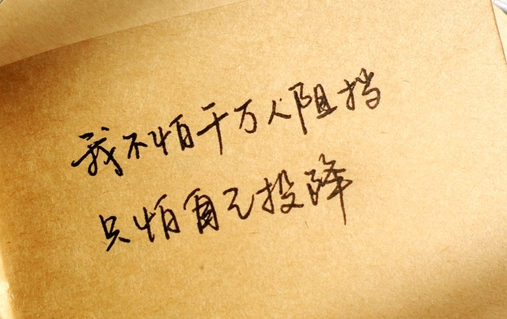 �����˵���־������˵˵