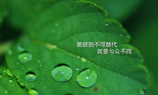 �����˵���־������˵˵