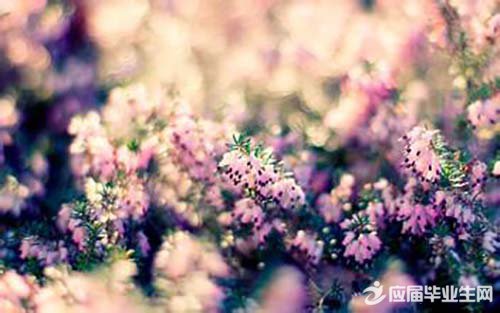 ����ǩ����ȫ����